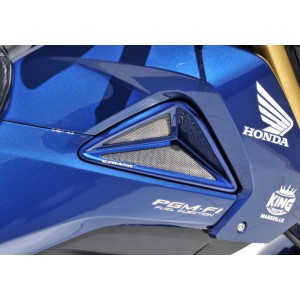 Ecopes de radiateur Escopas Ermax MSX 125 (GROM) 2013/2016 HONDA EQUIPO DE MOTO