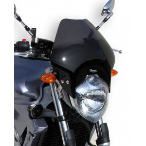 Ermax nose screen FZ6 2004/2007