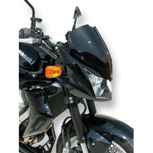 Ermax nose screen Z 750 2007/2012