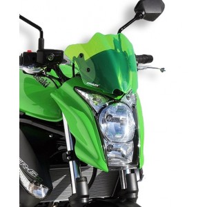 Ermax Sport nose screen ER-6N 2009/2011