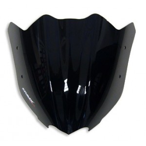 Ermax Sport nose screen ER-6N 2009/2011