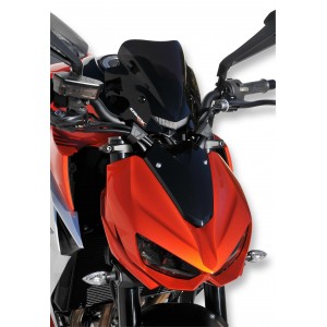 Ermax sport nose screen Z 1000 2014/2020