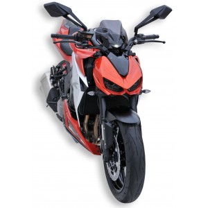 Ermax sport nose screen Z 1000 2014/2020