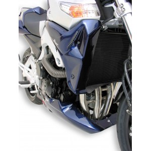 Ermax : Radiator scoops GSR 600