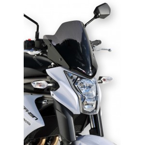 Ermax sport nose screen ER6N 2012/2015