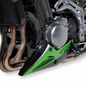 Ermax : bancada de motor Z900