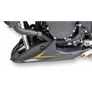 Ermax : Sabot moteur CB 1000 R 2008/2017