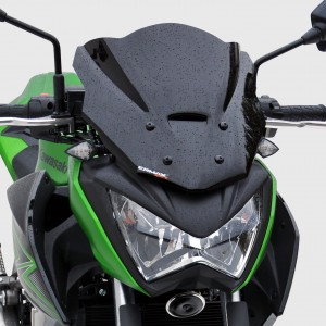 cupola deportivo Z 300 2015/2016 Cupola deportivo Ermax Z300 2015/2016 KAWASAKI EQUIPO DE MOTO