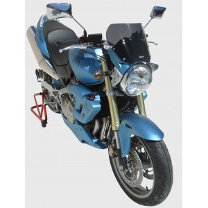 high protection screen CB 600 HORNET 2005/2006