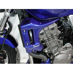 escopas CB 900 HORNET 2002/2007 Escopas Ermax CB 900 HORNET 2002/2007 HONDA EQUIPO DE MOTO