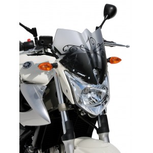 nose screen XJ 6 N 2009/2012