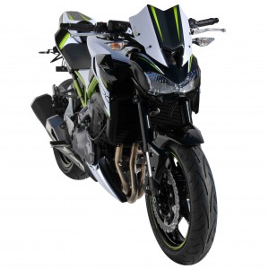 Tête de fourche peinte Z 900 2017/2019