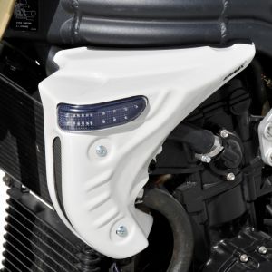 escopas de radiator SPEED TRIPLE 1050 2005/2007 Escopas 2005/2007 Ermax SPEED TRIPLE 1050 2005/2010 TRIUMPH EQUIPO DE MOTO