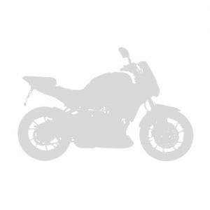 Bolha tamanho de origem Ermax TIGER 1050 2007/2015 TRIUMPH EQUIPAMENTO DE MOTOS