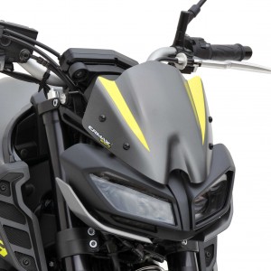 tete de fourche MT 09(FZ 9) 2017/2020 Tête de fourche Ermax MT-09 / FZ-09 2017/2020 YAMAHA EQUIPEMENT MOTOS