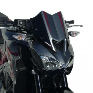 Tête de fourche peinte Z 900 2017/2019