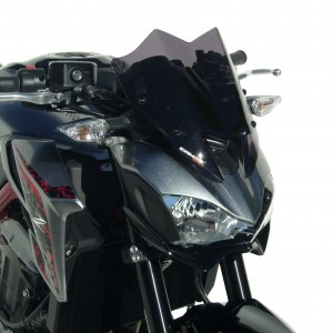 Ermax nose screen Z 900 2017/2019 Hypersport nose screen Ermax Z900 / Z900E 2017/2019 KAWASAKI MOTORCYCLES EQUIPMENT