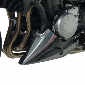 Ermax belly pan Z900