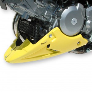 Quilla motor Ermax para DL 650 V Strom 2004/211 Quilla motor Ermax DL 650 V STROM 2004/2011 SUZUKI EQUIPO DE MOTO