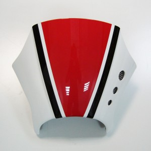 Ermax nose fairing XSR900