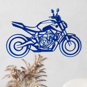 Plexiglass motorcycle wall