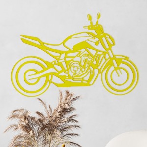 Plexiglass motorcycle wall