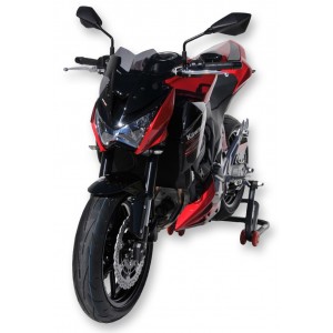 Ermax sport nose screen Z 800 2013/2015