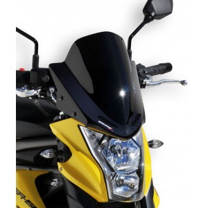 Ermax sport nose screen ER6N 2012/2015