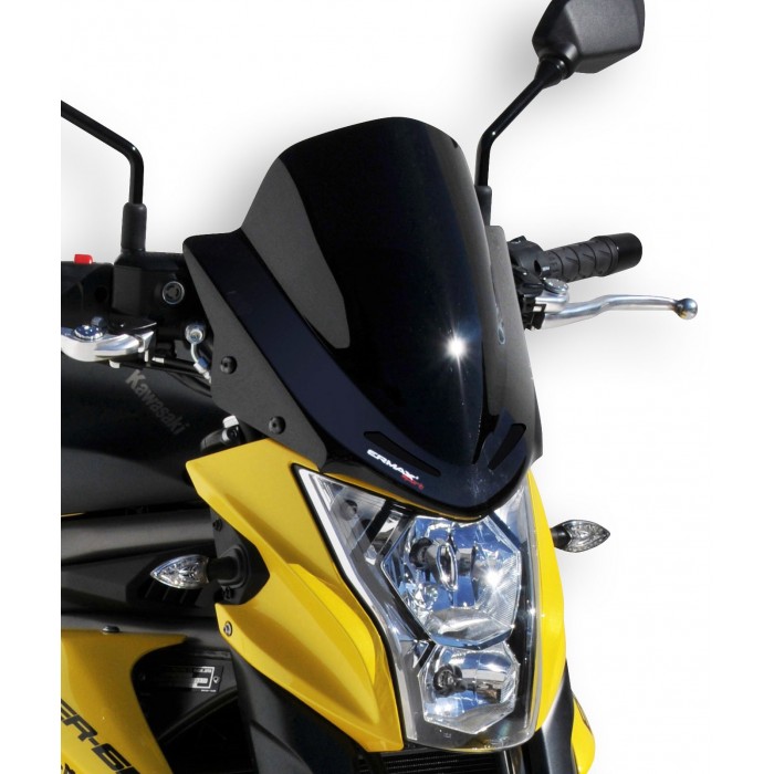 Ermax sport nose screen ER6N 2012/2015