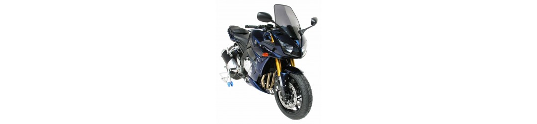 Ermax accessories for Yamaha FZ1 Fazer 2006/2015