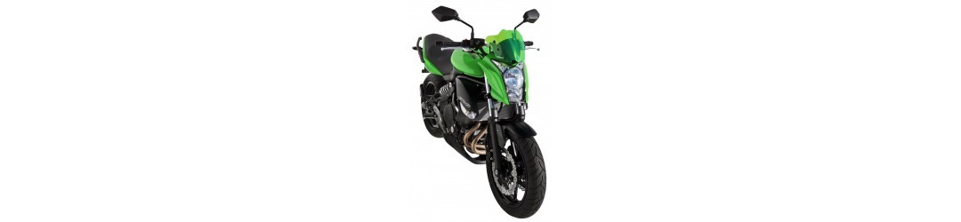 Ermax : accessoires ER-6 N/F 2009/2011