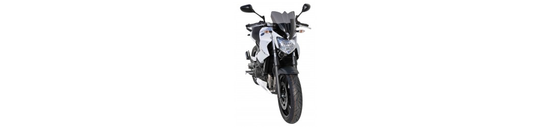 Accessoires Ermax pour Yamaha XJ 6 N 2013/2016