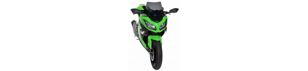 Ermax : Accessoires 300 Ninja 2013/2017