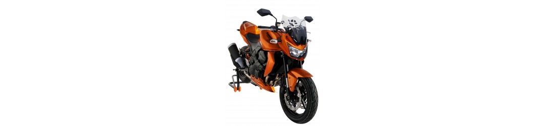 Ermax : accessoires Z750N 2007/2012